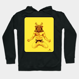 Samurai warrior Hoodie